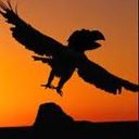 nuleafjhawk