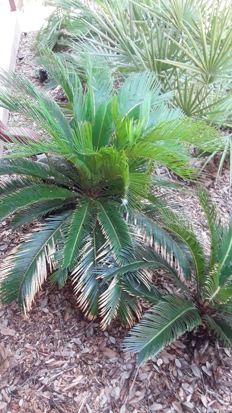20250810_133901.jpg