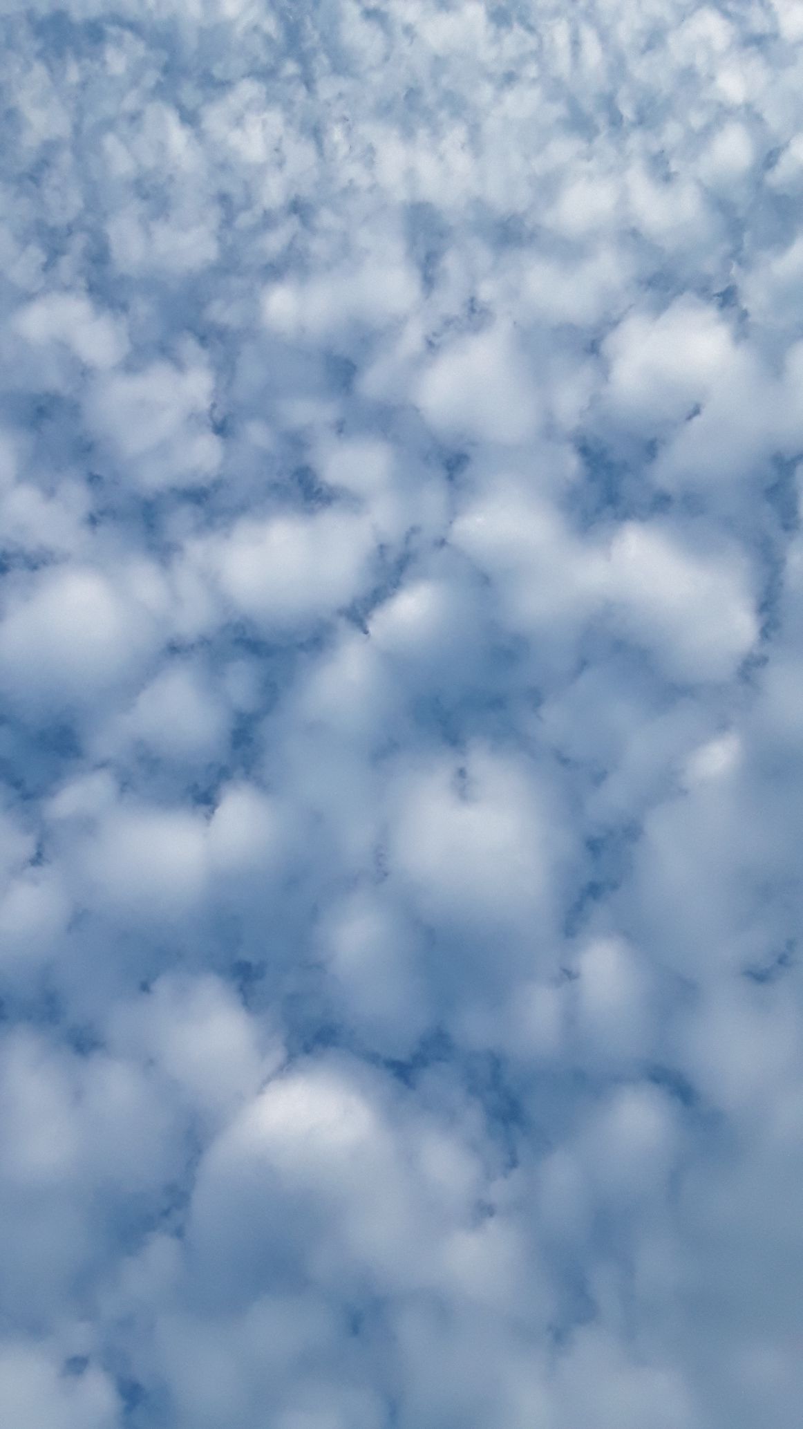 20190611_195712.jpg