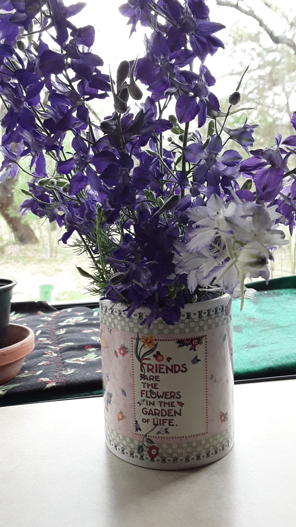 flwers.jpg