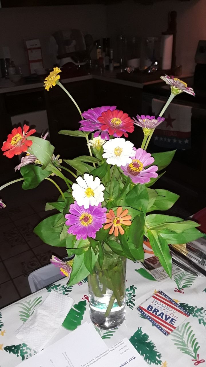 20190609_174616.jpg