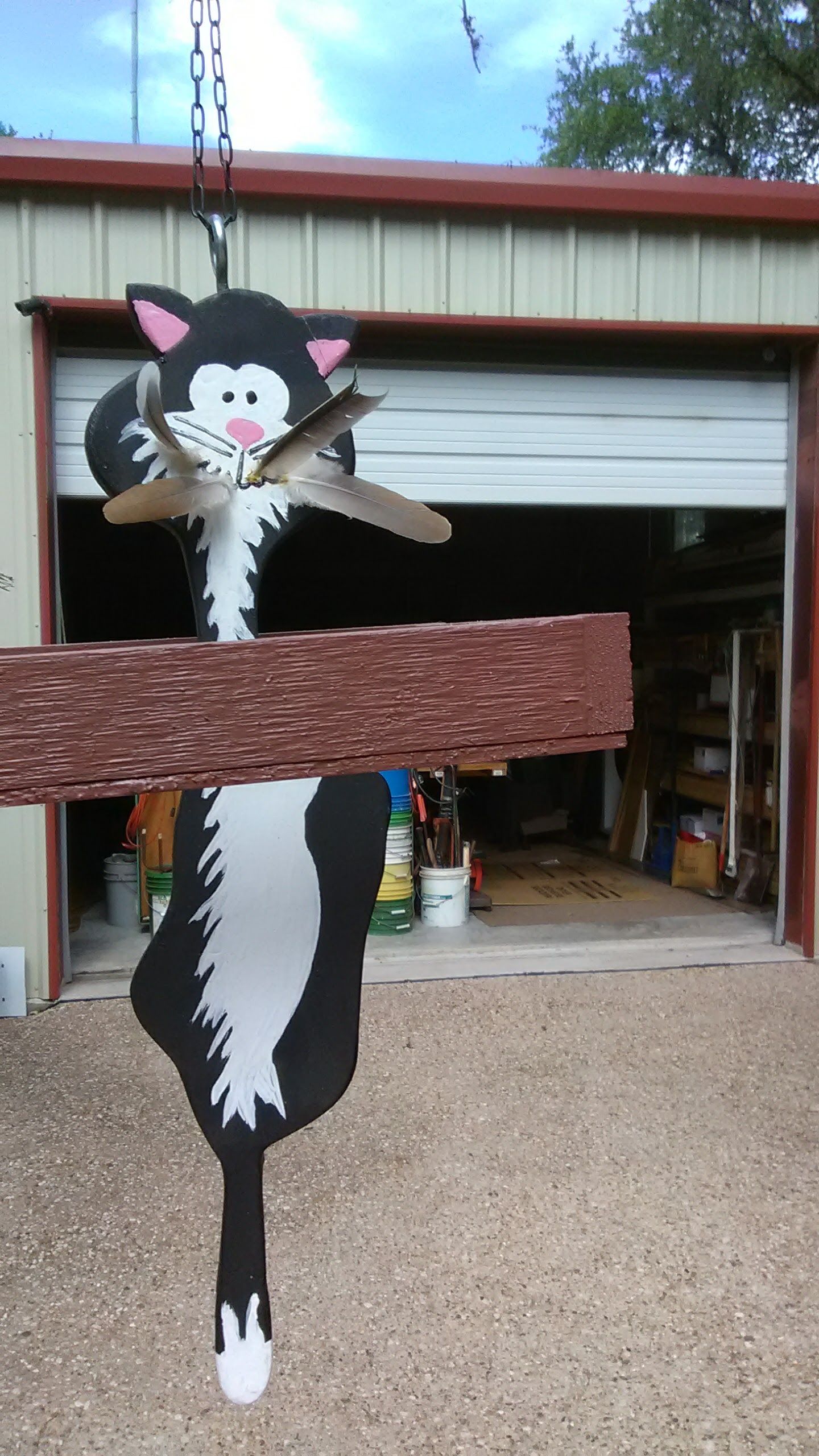IMG_20170712_163652.jpg